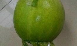 今日吃瓜事件 每日必吃,揭秘娱乐圈最新热点事件